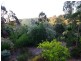 1 Horsell Road, Belair SA 5052