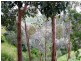 1 Horsell Road, Belair SA 5052