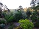 1 Horsell Road, Belair SA 5052