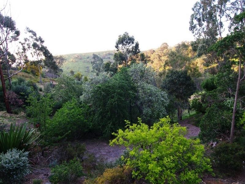 1 Horsell Road, Belair SA 5052