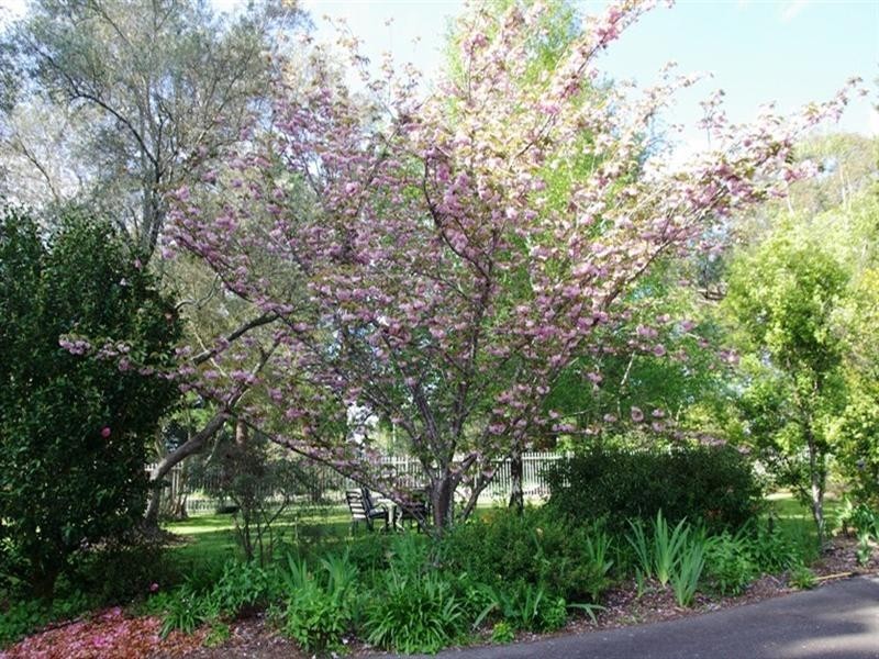 861 Ackland Hill Road, Coromandel East SA 5157