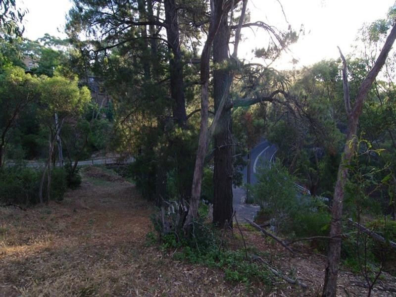 Lot 59 Old Belair Road, Belair SA 5052