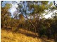 Lot 59 Old Belair Road, Belair SA 5052