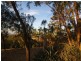 Lot 59 Old Belair Road, Belair SA 5052