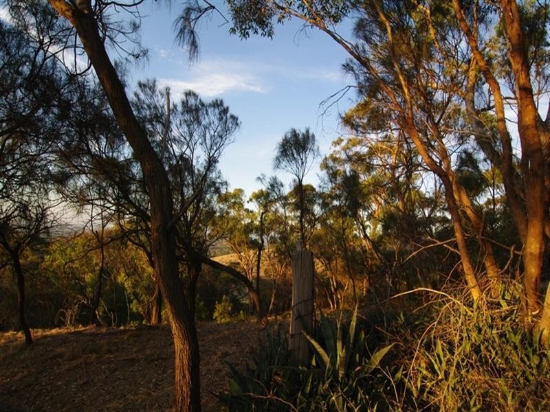 Lot 59 Old Belair Road, Belair SA 5052