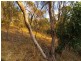 Lot 59 Old Belair Road, Belair SA 5052