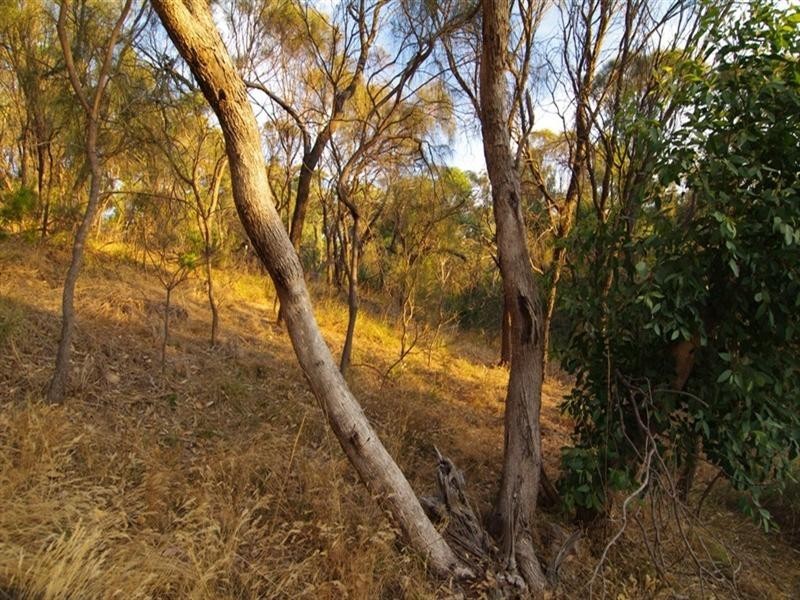 Lot 59 Old Belair Road, Belair SA 5052