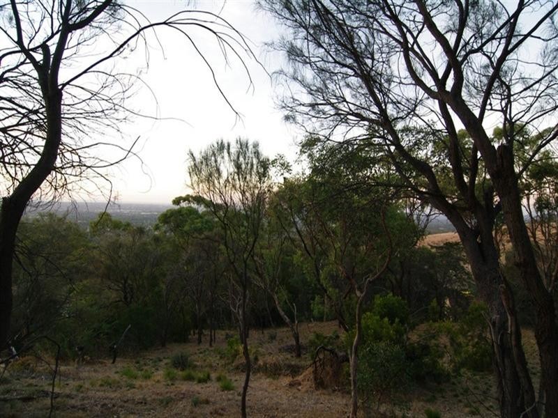 Lot 59 Old Belair Road, Belair SA 5052