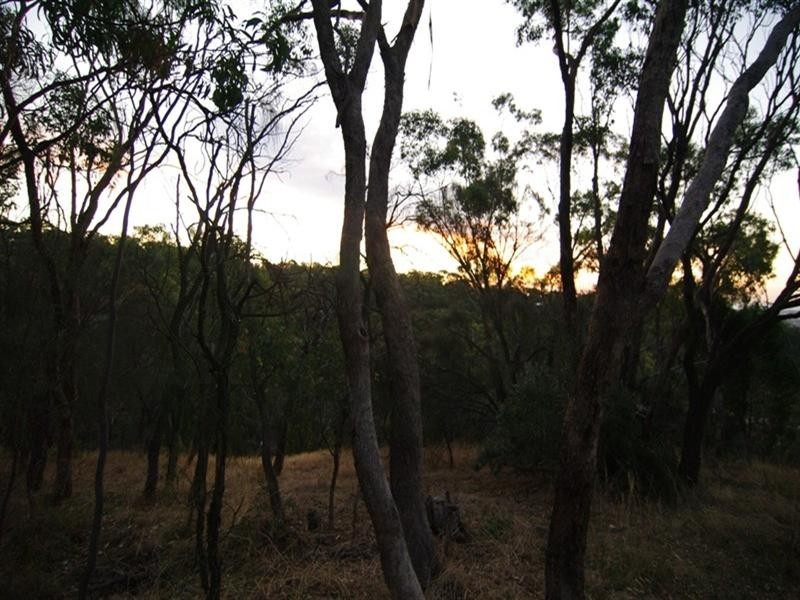 Lot 59 Old Belair Road, Belair SA 5052