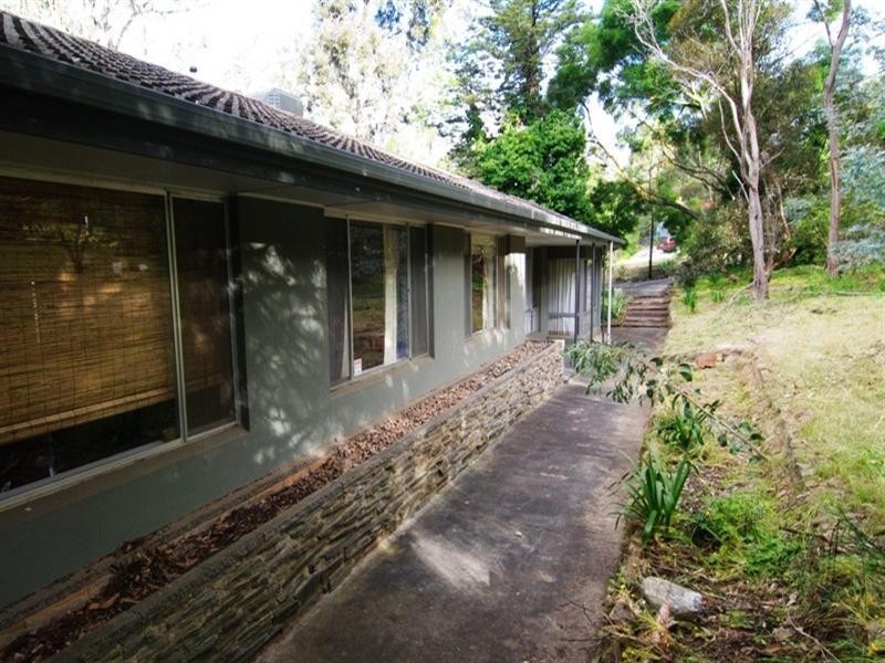 17 Boronia Avenue, Coromandel Valley SA 5051