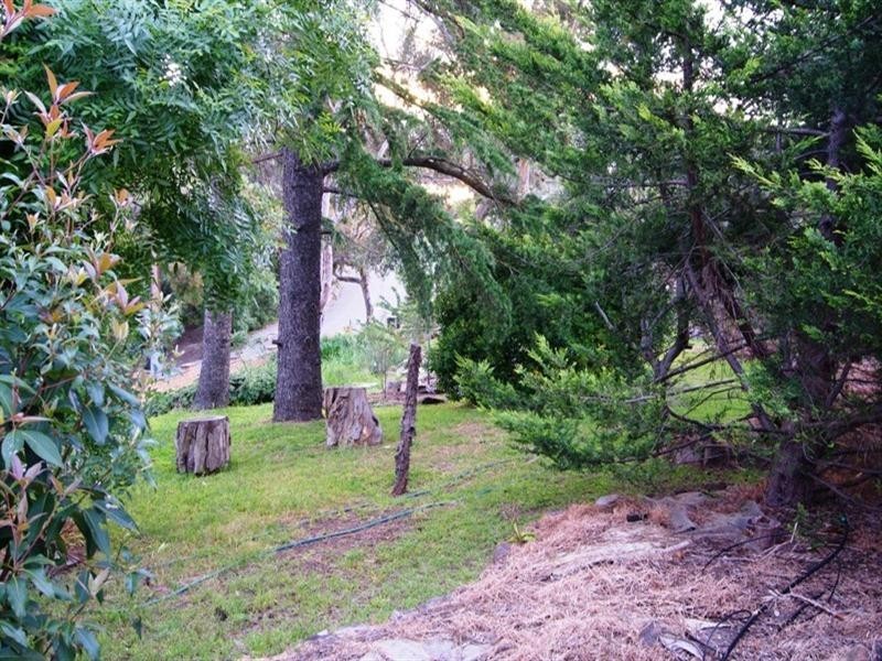 26 Main Road, Belair SA 5052