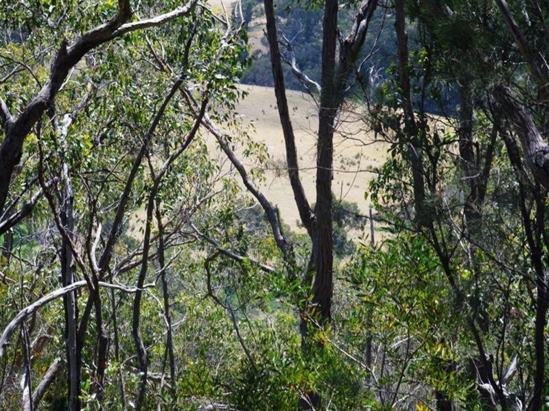 1286 Crossing Road, Mylor SA 5153