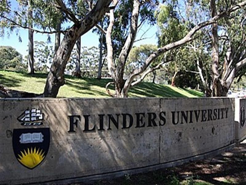 2/13 Burbank Avenue, Bedford Park SA 5042