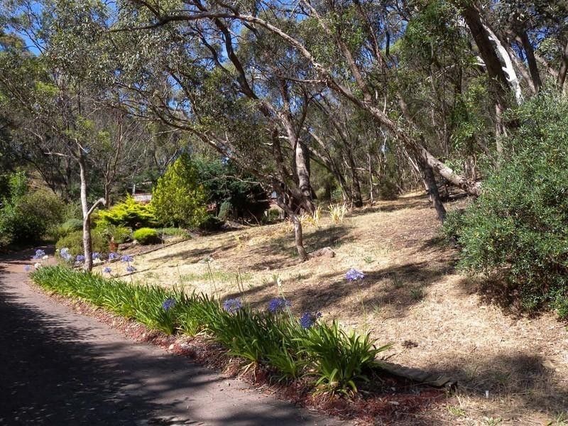 6 Ash Court, Belair SA 5052