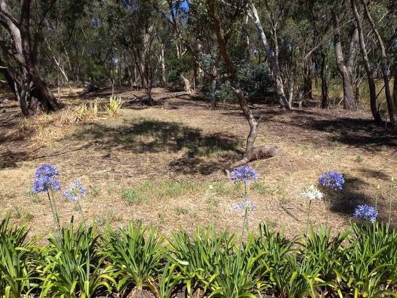 6 Ash Court, Belair SA 5052