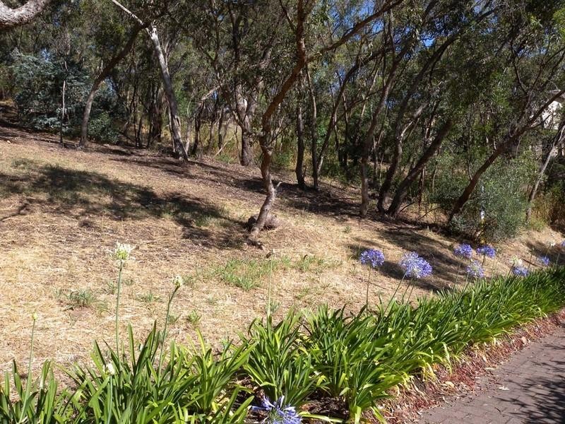 6 Ash Court, Belair SA 5052