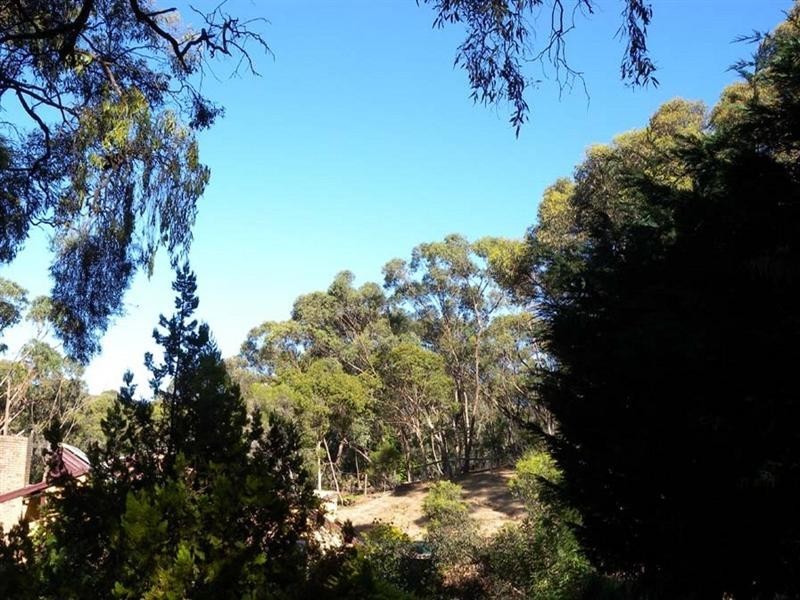 6 Ash Court, Belair SA 5052