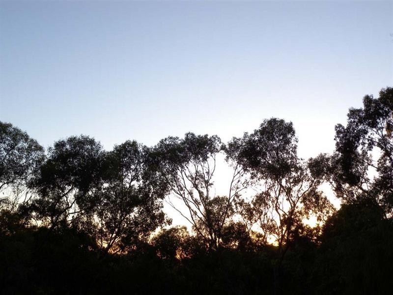 6 Ash Court, Belair SA 5052