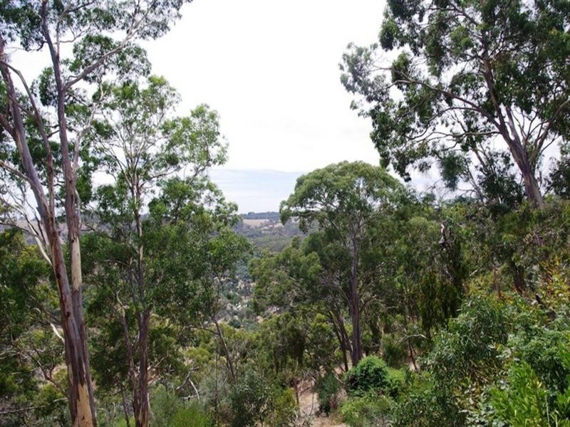 145 Sheoak Road, Belair SA 5052