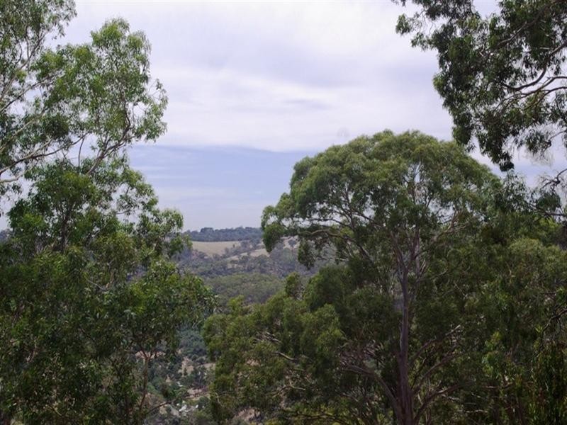 145 Sheoak Road, Belair SA 5052