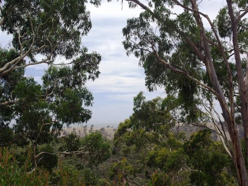 145 Sheoak Road, Belair SA 5052