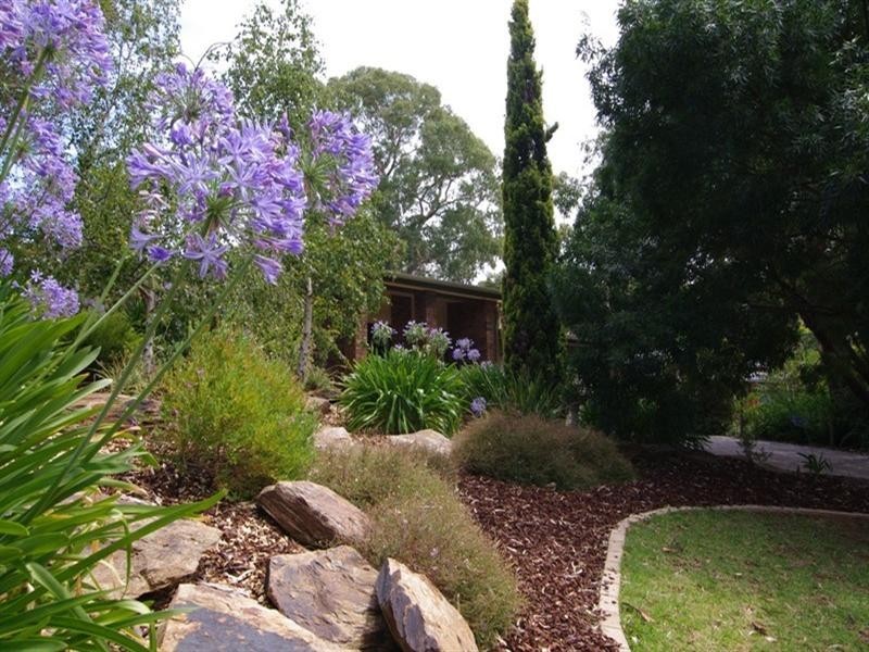 11 Landsdowne Avenue, Belair SA 5052