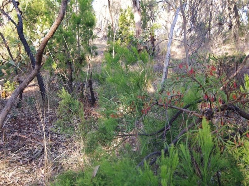 20 Old Belair Road, Belair SA 5052