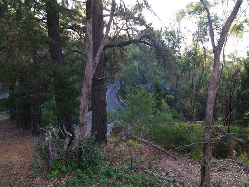 20 Old Belair Road, Belair SA 5052