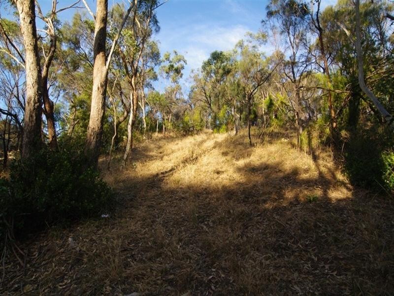 20 Old Belair Road, Belair SA 5052