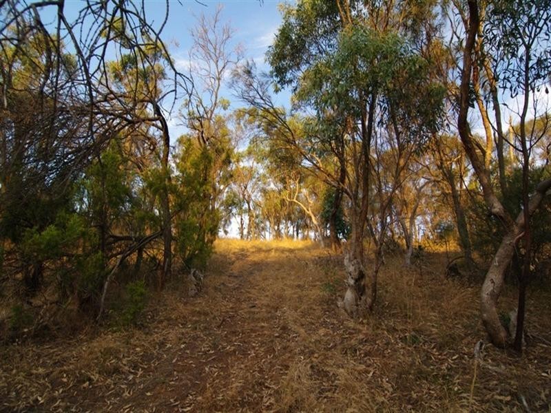 20 Old Belair Road, Belair SA 5052