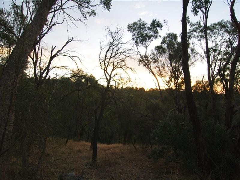 20 Old Belair Road, Belair SA 5052