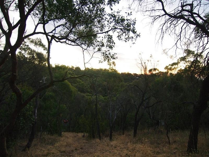 20 Old Belair Road, Belair SA 5052