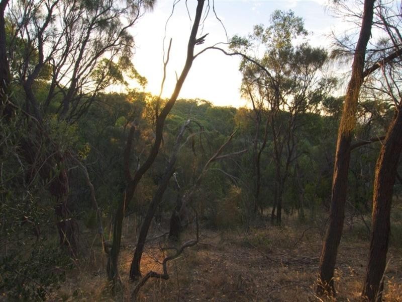 20 Old Belair Road, Belair SA 5052