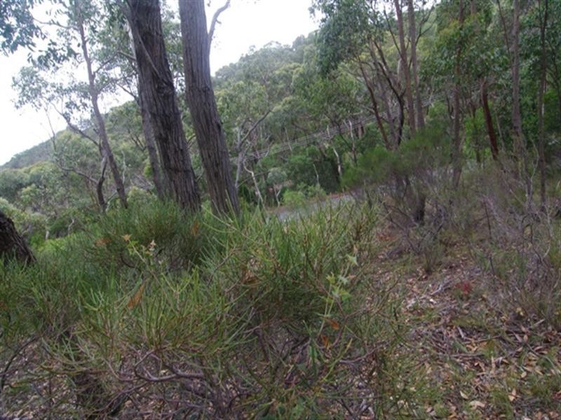 Lot 29 Scott Creek Road, Heathfield SA 5153