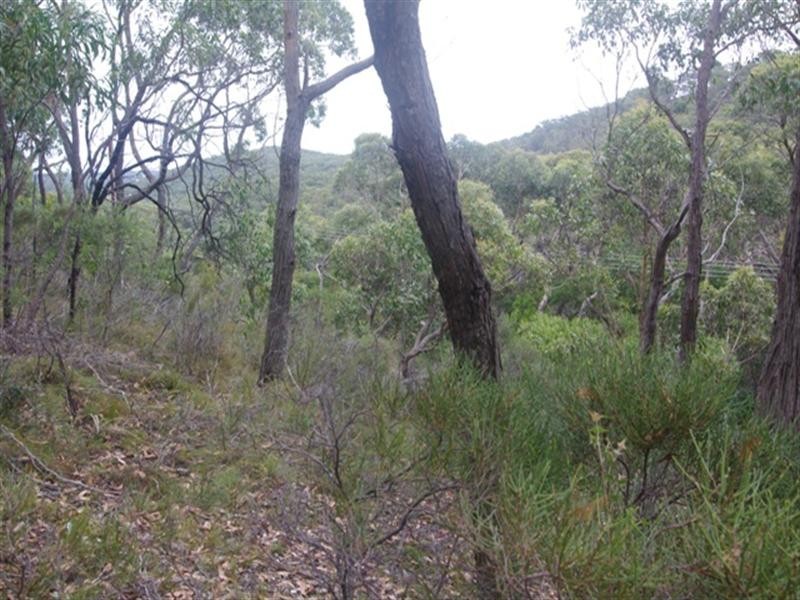 Lot 29 Scott Creek Road, Heathfield SA 5153