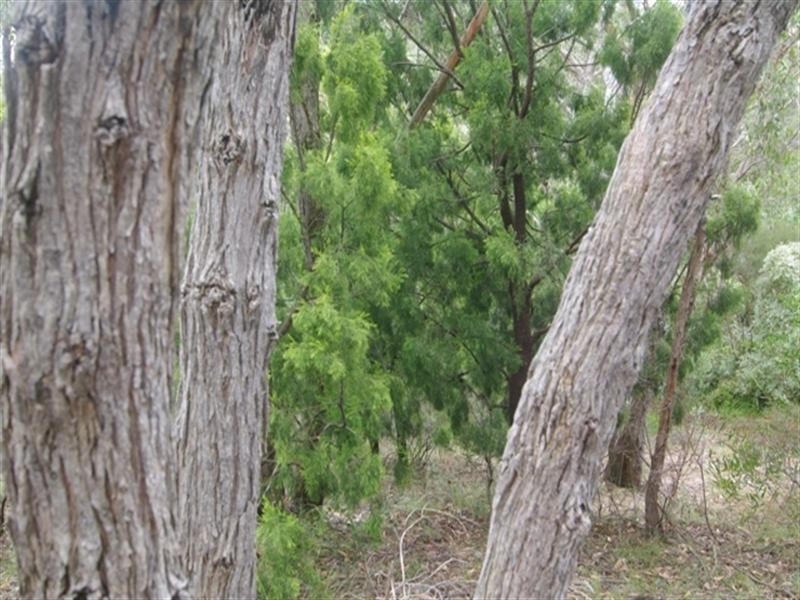 Lot 29 Scott Creek Road, Heathfield SA 5153