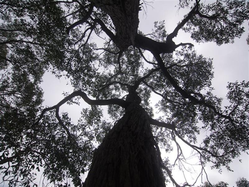 Lot 29 Scott Creek Road, Heathfield SA 5153