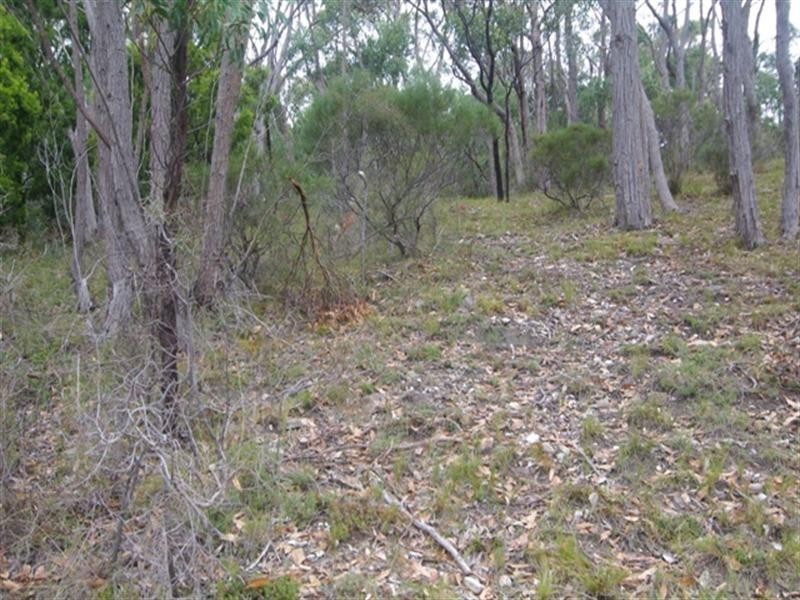 Lot 29 Scott Creek Road, Heathfield SA 5153