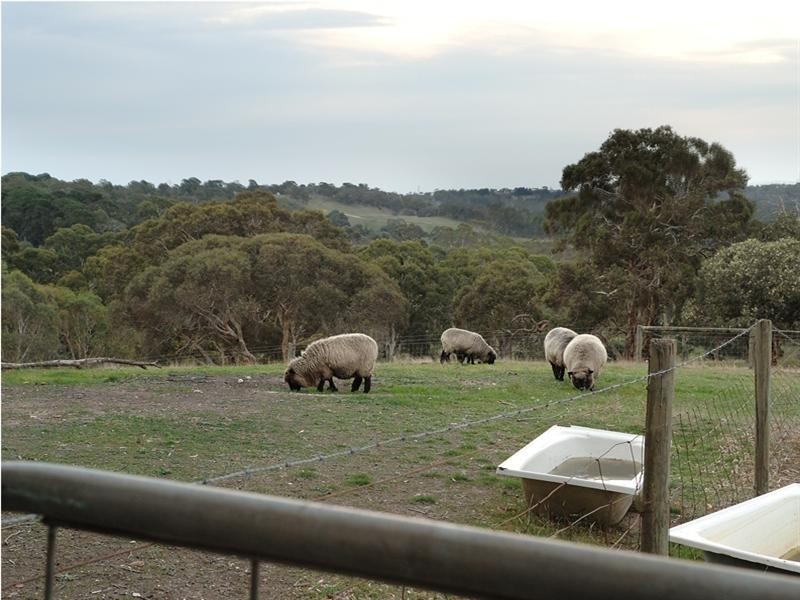 519 Cherry Gardens Road, Cherry Gardens SA 5157