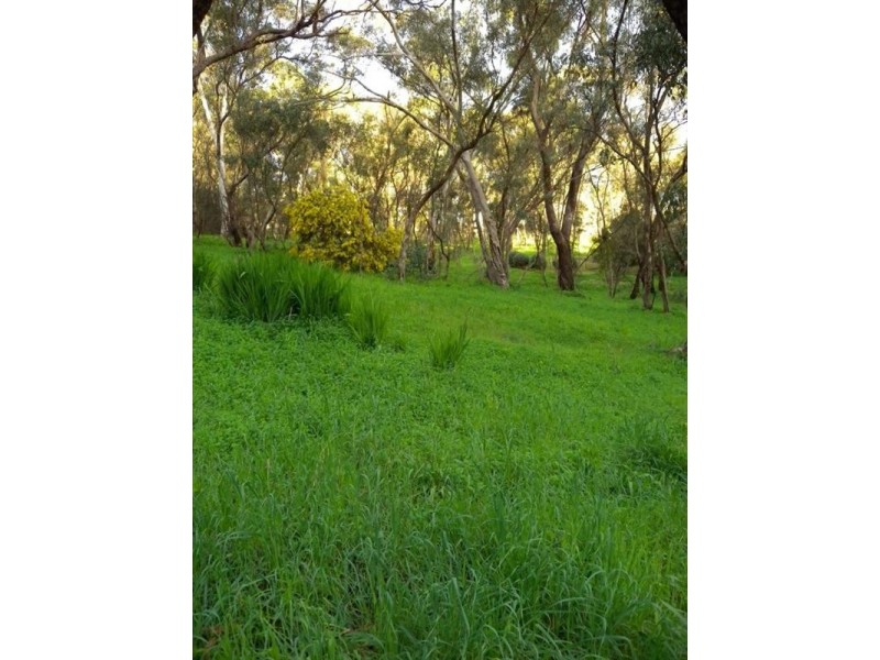 6 ASH Court, Belair SA 5052