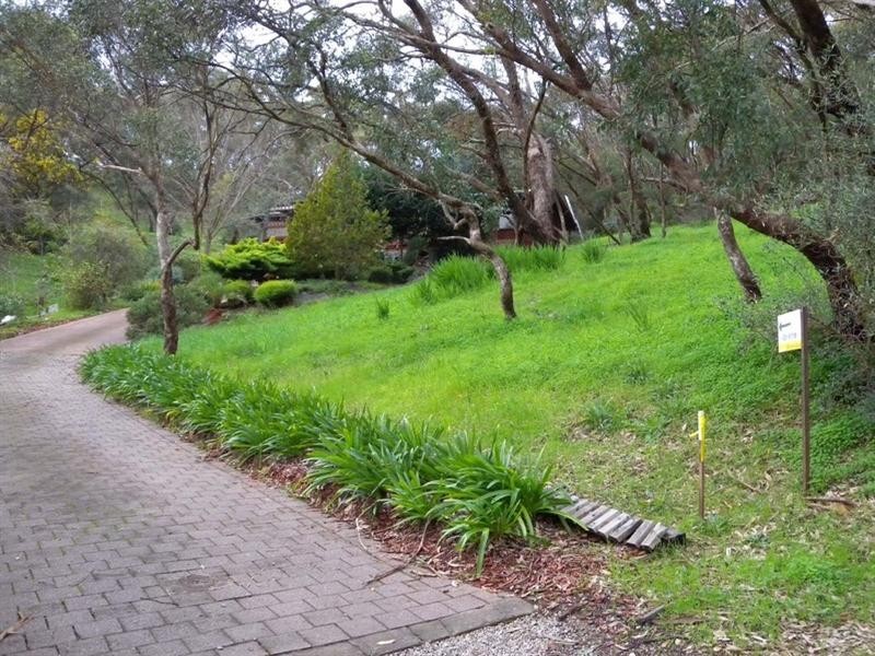 6 ASH Court, Belair SA 5052