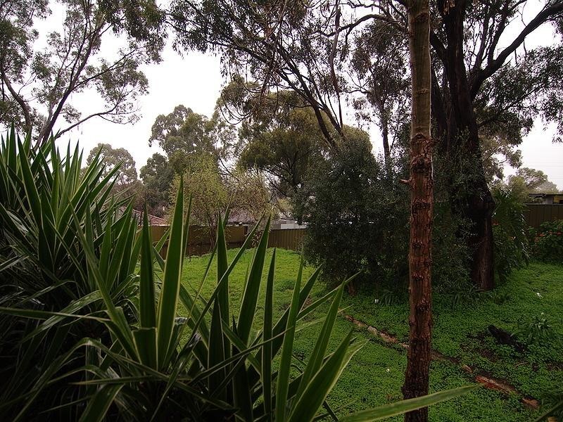 3 Haven Road, Aberfoyle Park SA 5159