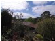 39 Jackson Avenue, Coromandel Valley SA 5051