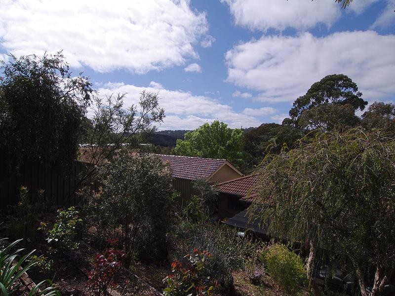 39 Jackson Avenue, Coromandel Valley SA 5051