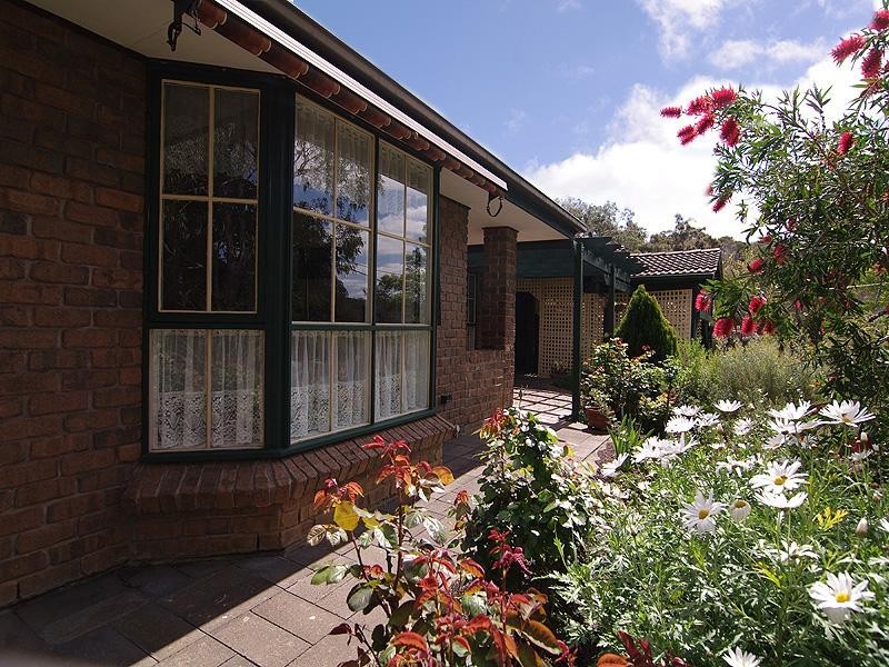 39 Jackson Avenue, Coromandel Valley SA 5051