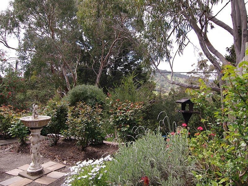 39 Jackson Avenue, Coromandel Valley SA 5051