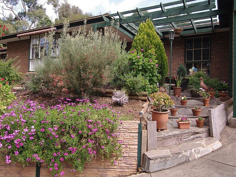 39 Jackson Avenue, Coromandel Valley SA 5051