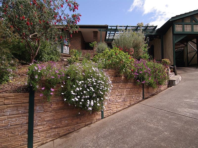 39 Jackson Avenue, Coromandel Valley SA 5051