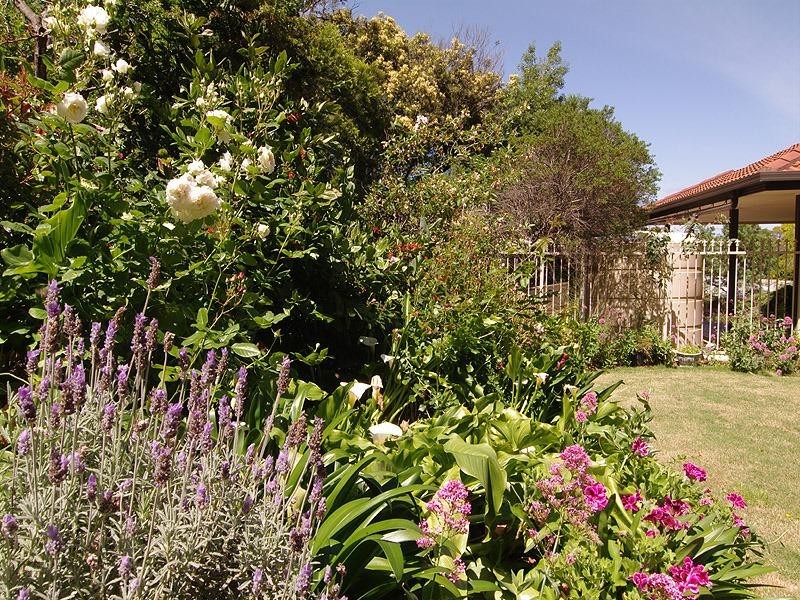 3 Byrne Street, Glenalta SA 5052