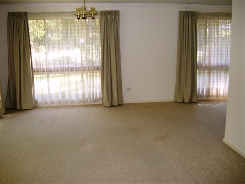 16 Gorse Avenue, Hawthorndene SA 5051